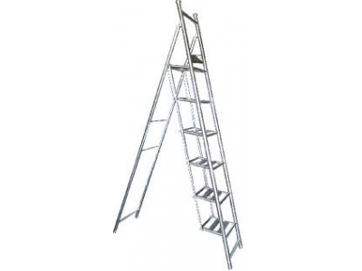 Thang xếp Inox 6 bậc